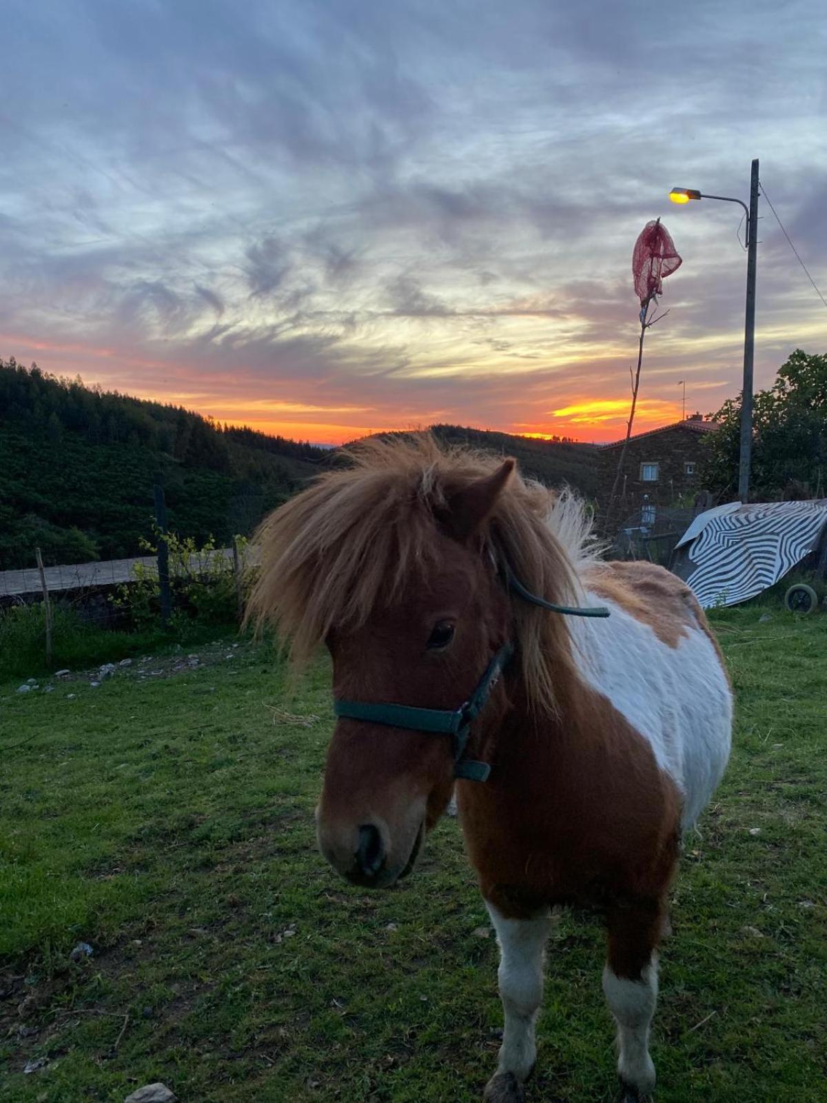 Casinha Por Do Sol Villa Aldeia das Dez Kültér fotó
